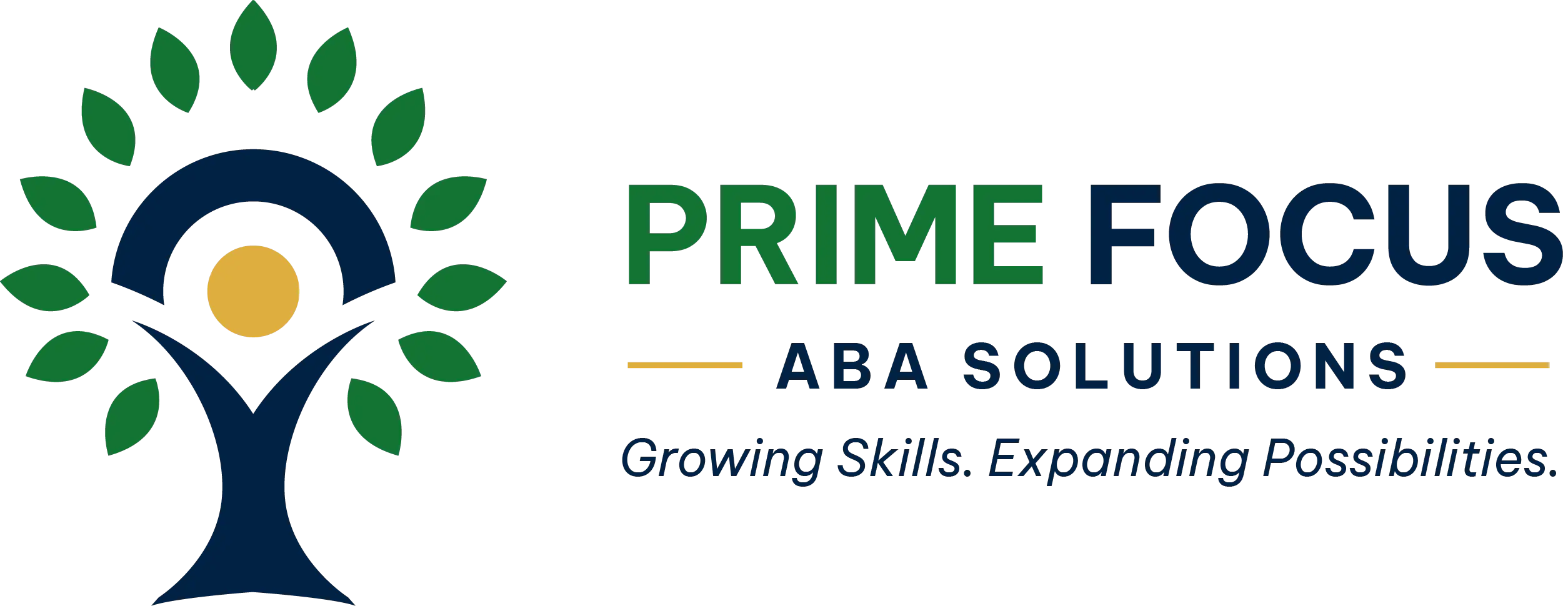 Prime Focus ABA Solution LLC Logo